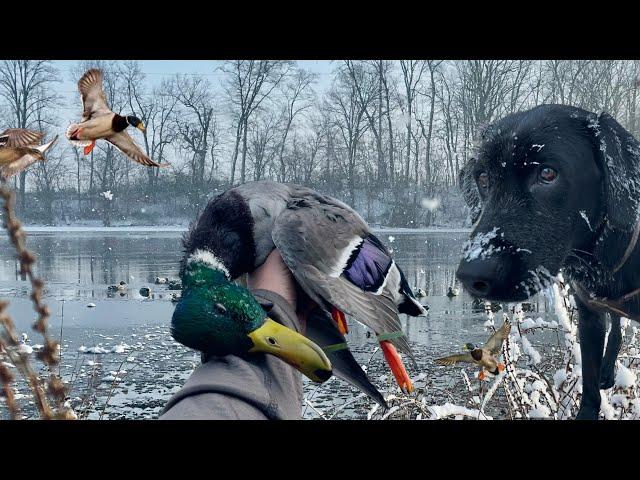 Duck Hunting MALLARDS in the SNOW! SUB FREEZING Micro Creek