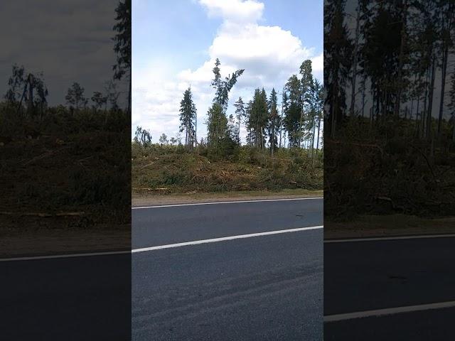 Последствия урагана 02.08.2021 в деревне Струбки, недалеко от Полоцка. Туристы-Авантюристы.