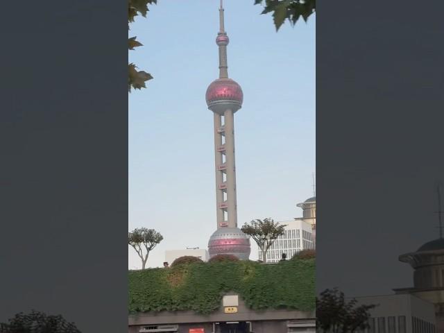 Shanghai Views: A Journey to the Oriental Pearl Tower #travel #iconictower #viralvideo #travelvlog