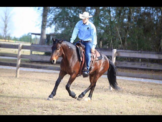 Introduction to Zeke Zacharias with Zacharias Horsemanship