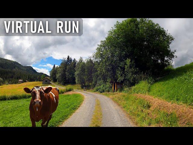 Virtual Run On Gravel Road Towards Old Cabins And a Lake | Virtual Running Videos For Treadmill 4k