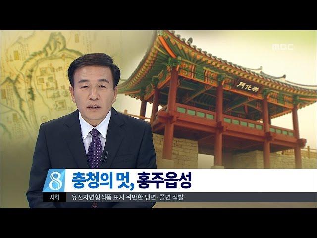 [뉴스데스크]충청의 멋, 홍주읍성