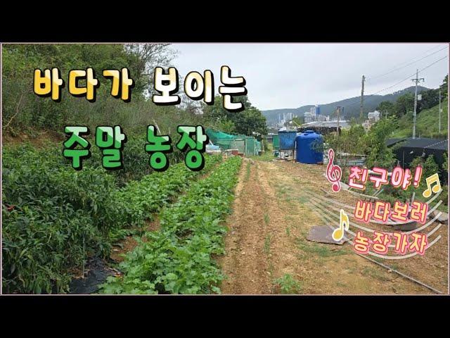 24 -18//기장에 바다가 보이는 주말농장입니다. 지적도상 도로가 있어 체류형 농막설치에도 유리한 아주 좋은 주말농장입니다.