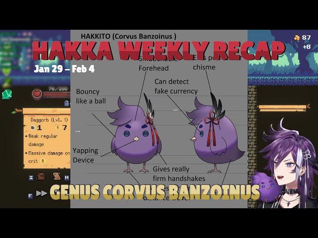 Genus Corvus Banzoinus - Hakka Weekly Recap 2024 [05]