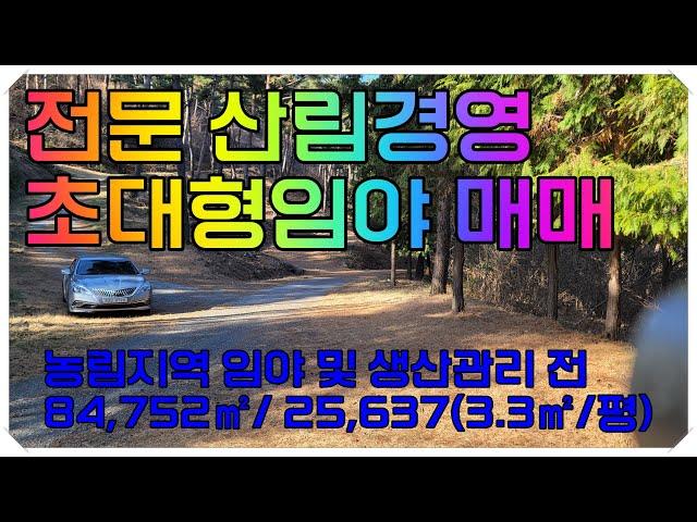 함안땅, 함안임야 ]23- 001 경남 함안군 군북면 대형 임야 매매(산림경영및 임업용 산지 활용 대형 임야 매매)