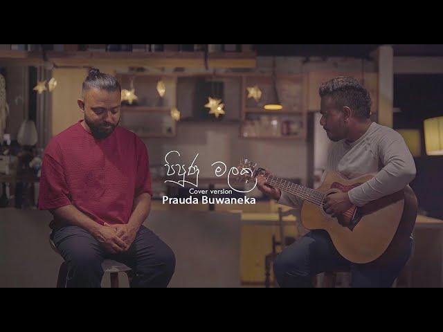 Prauda Buwaneka | Pipunu malaka (පිපුණු මලක) Cover