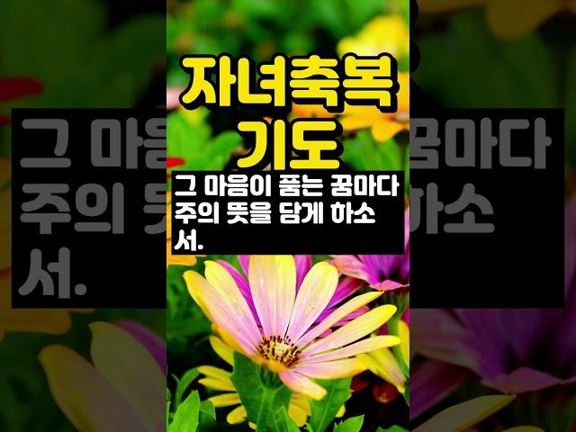 자녀를 위한 기도 / 자녀를 축복하는 기도 / 사랑하는 자녀를 위한 기도