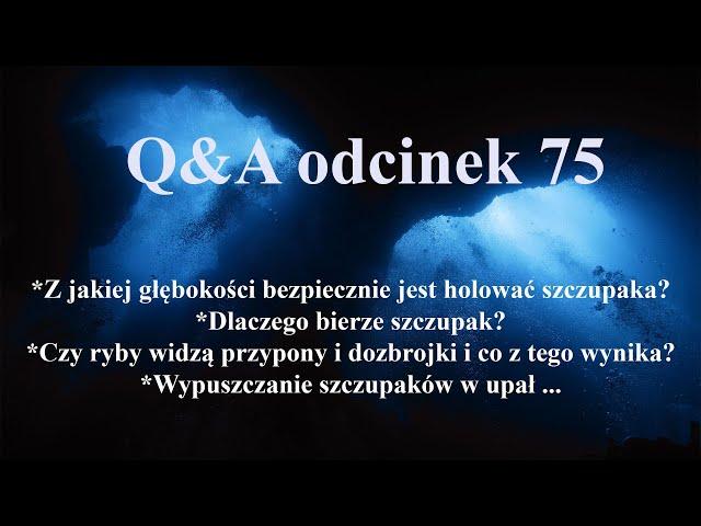 Q&A odcinek 75 - szczupaki i okonie - pytania ichtiologiczno - wędkarskie.