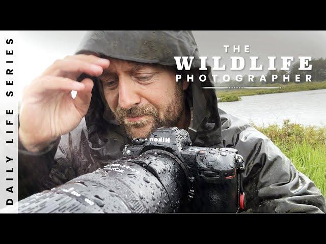 Nikon Z6 III - Tested in the Field for 6 Days