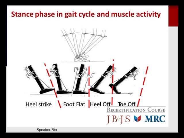 MILLER'S 2016 Orthopaedics: Rehabilitation