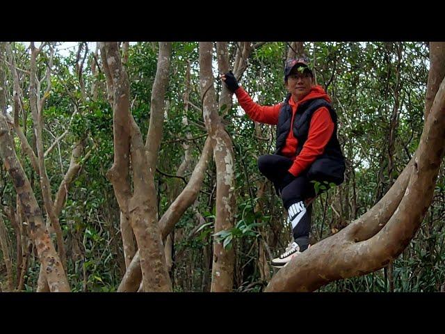 Josie Ambo is live! Advantage ng Maliit at Violet Hill Hike ‍️