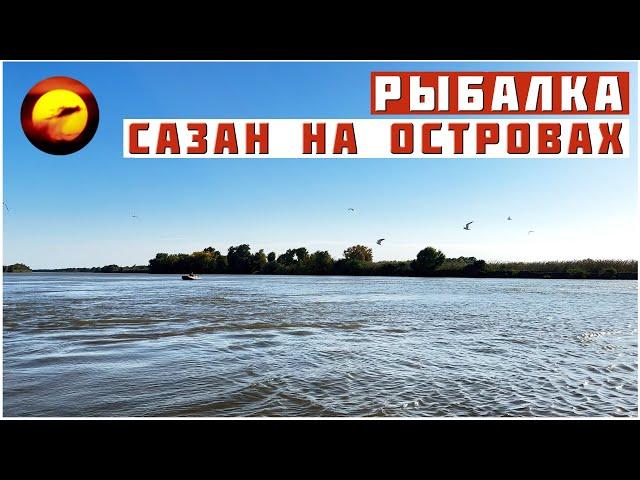 Рыбалка! САЗАН НА ОСТРОВАХ / Ловля Сазана и Сома в Астрахани