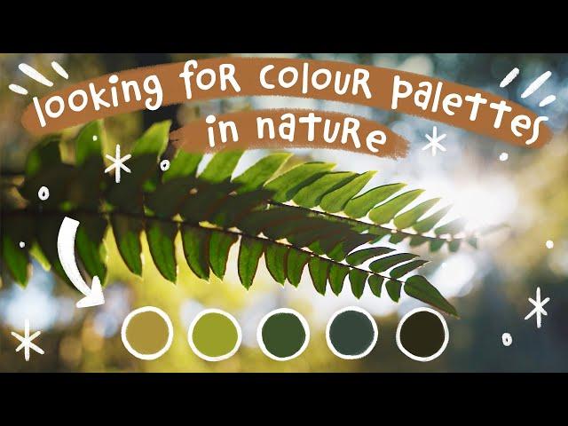 Colour Palette Inspiration For Artists | Natural Colours From A Beautiful Waterfall