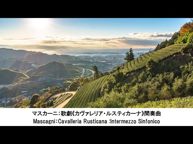 気持ちが落ち着くクラシック名曲集・Feel Calm Classical Music Collection（長時間作業用BGM)