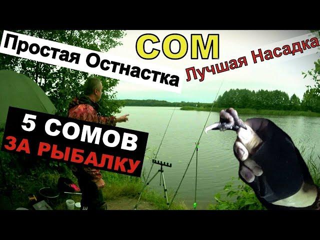 ЭТА НАСАДКА КОСИТ СОМА . Рыбалка - 5 СОМОВ ЗА 7 ЧАСОВ.  ЛОВЛЯ СОМА на закидушку.