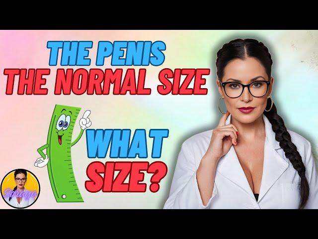 THE PENIS THE NORMAL SIZE