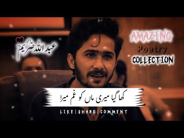 Abdullah Zareem Poetry Collection | Abdullah Zareem Shayari | Mushaira | Poetry Status Urdu Words 