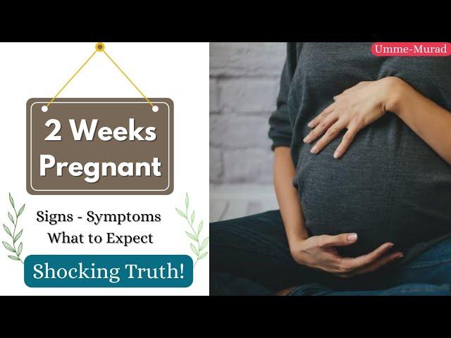 2 Weeks Pregnant | Signs , Symptoms - What to Expect | Pregnancy Week by Week