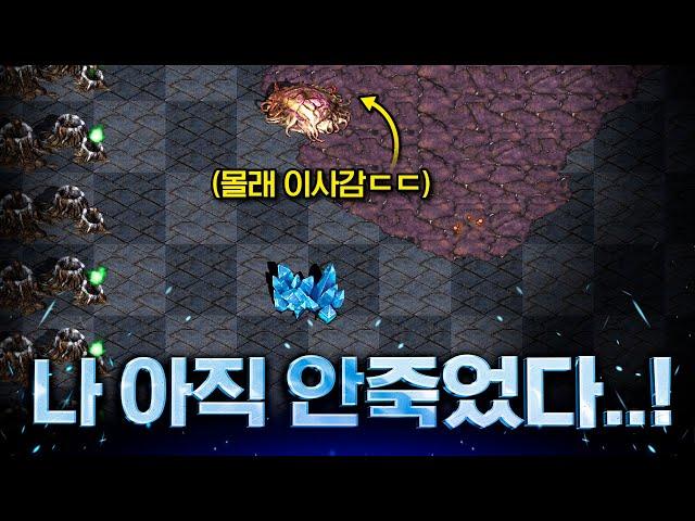 38분동안 뚜드려맞고 몰래 살아남은 인피쉰ㅋㅋ 남은건 해처리 1개뿐 [ 스타, 빨무 ]