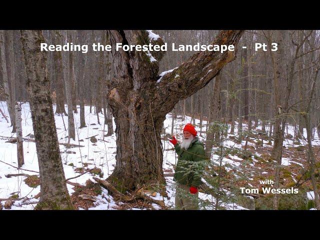 Tom Wessels: Reading the Forested Landscape, Part 3