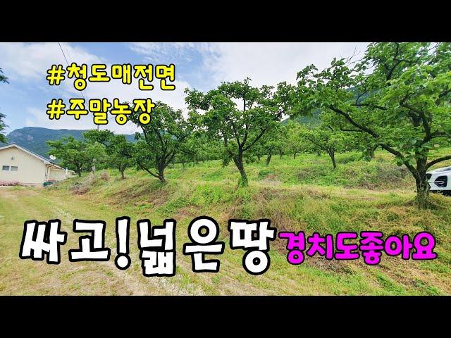 No.773 싸고 넓은땅 청도 매전면 장연리 강조망 청도토지매매 #밀양촌집매매 #밀양전원주택매매 #청도부동산