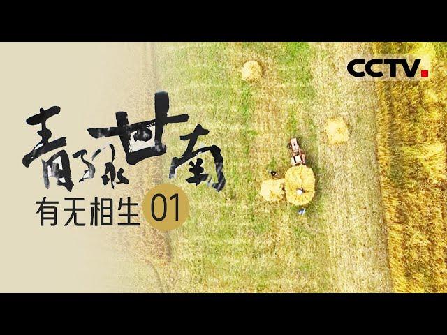 《青绿甘南》EP01  回溯甘南的生态之殇和切肤之痛 “还债、反思、弥补、自省” 这使得甘南的生态系统得以重塑——有无相生【CCTV纪录】