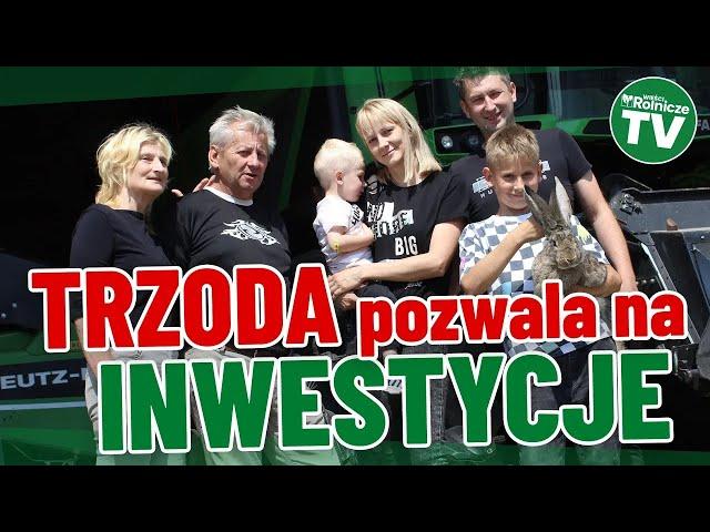 104 ha, świnie i opasy. Trzoda pozwala na inwestycje. Będzie chlewnia na 160 loch