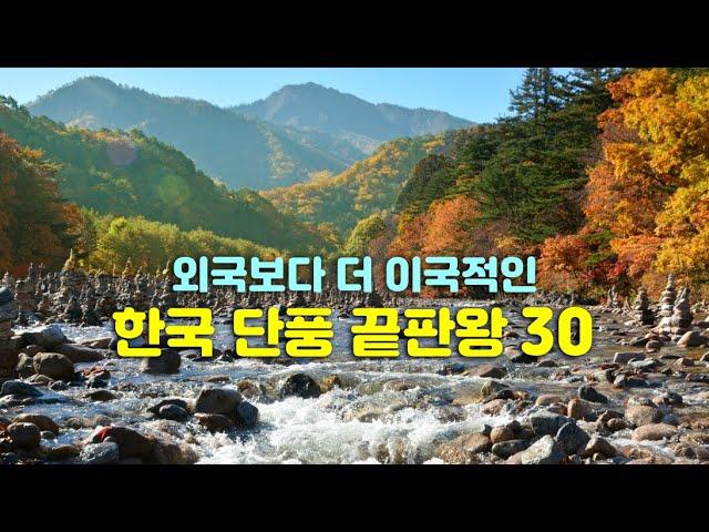 [한국의 국보급 단풍명소 30선] 올 가을 해외 보다 국내 단풍여행 떠나세요.여행 에디터가 촬영 편집한 A컷 단풍지와 2024년 예상 절정기 정보-trip in korea