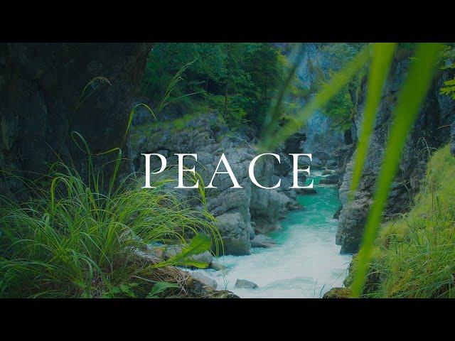 Peaceful Relaxing Guitar Music | Stress Relief Calm | Forest Stream