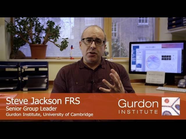 Gurdon Institute | Meet Steve Jackson