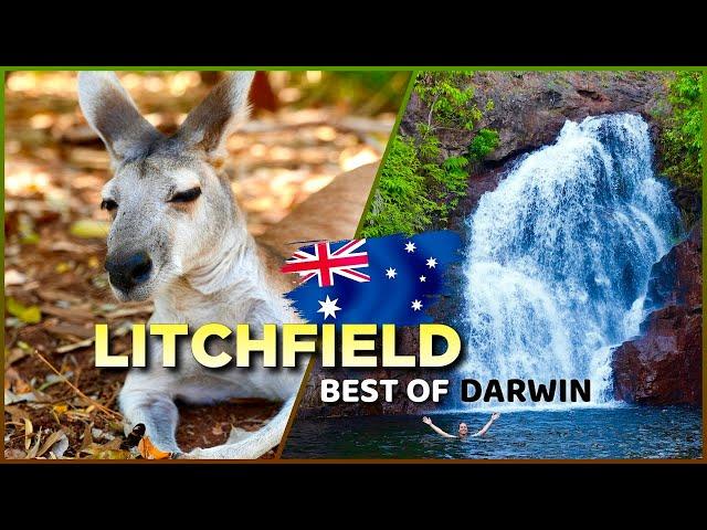 LITCHFIELD, AUSTRALIA: The MOST Beautiful NATURE in DARWIN & Territory Wildlife Park  in 4K