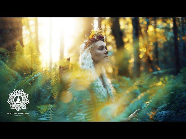 Relaxing Pagan Music 1 hour of Fantasy Music for Relaxation & Meditation | Celtic Ambient Music 