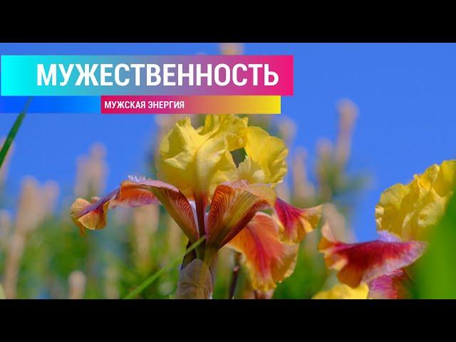 Мужская энергия. Мужественность. Уверенность. Саблиминал Combo. Скрытые аффирмации. (для мужчин)