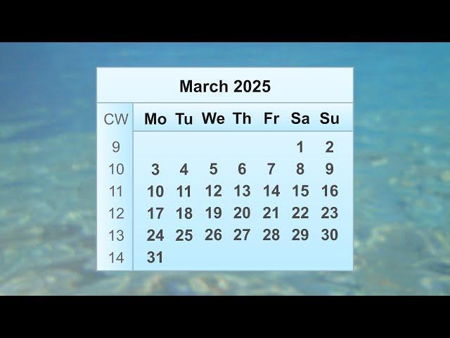 March 2025 Calendar