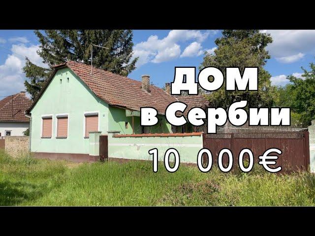 Что можно купить в Сербии за 10.000€. Дом в селе Сербии