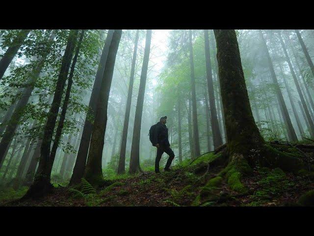 Hiking in Carpathian Mountains in Ukraine (Inspired by Kraig Adams).