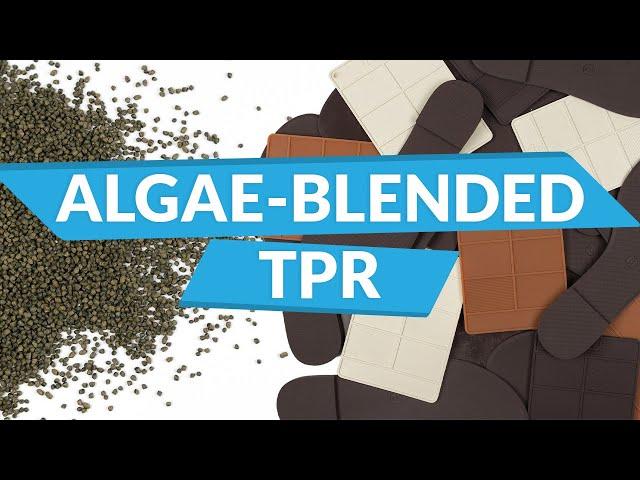 Sustainable Shoe Sole Options - Algae Blended TPR | The BLOOM Room | Episode 5