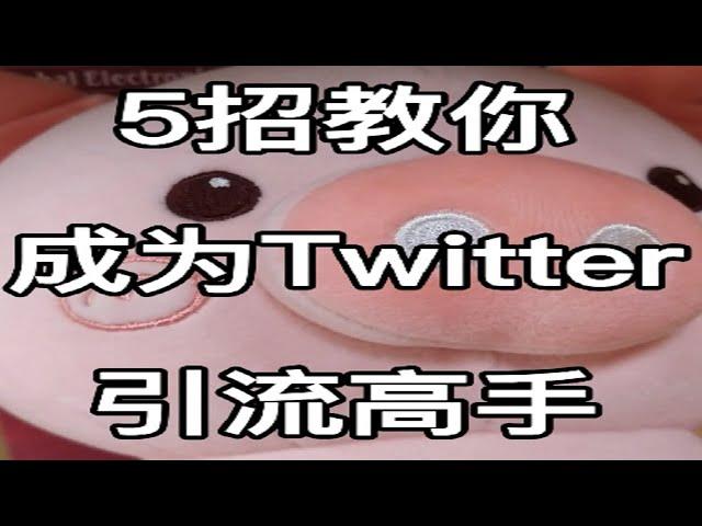 5招教你成为Twitter引流高手。