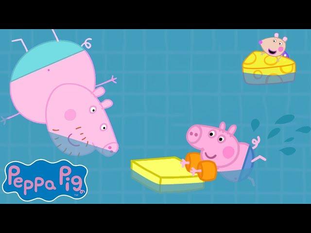 Daddy Pig Teaches George How To Swim!  Peppa Pig Official Channel Family Kids Cartoons