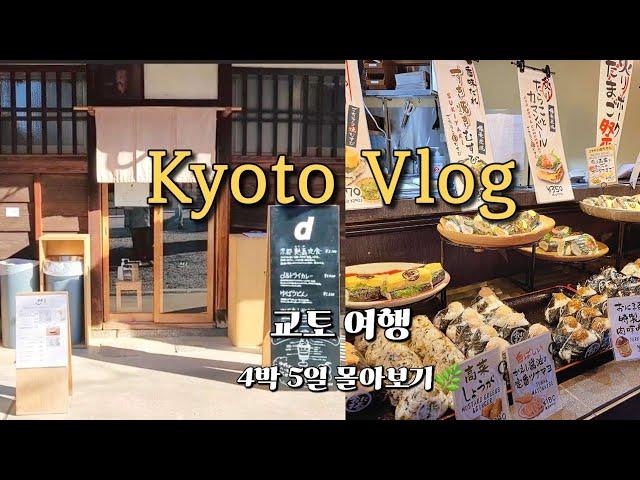 교토 여행 4박 5일 vlog  몰아보기편 교토 겨울 갬성 잇빠이!!!