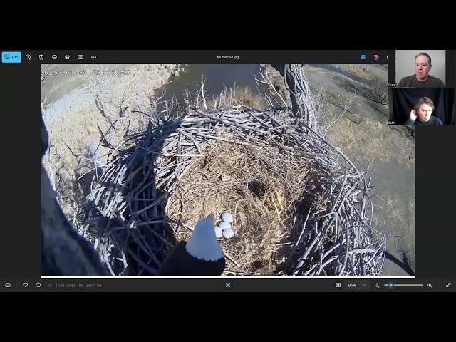 Rare 4 eggs in a Bald Eagle nest reaction and eagle cam updates. Nesting Eagles Podcast episode 7
