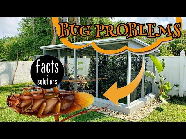 How to keep pest out of the AVIARY ( COCKROACHES / ANTS )