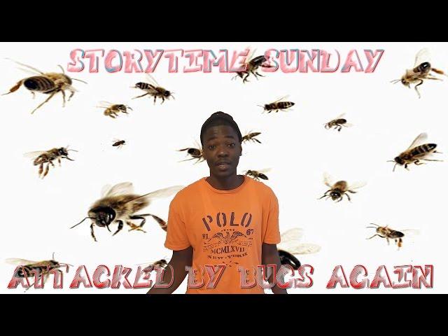 STORYTIME SUNDAY: ATTACKED BY BUGS AGAIN!