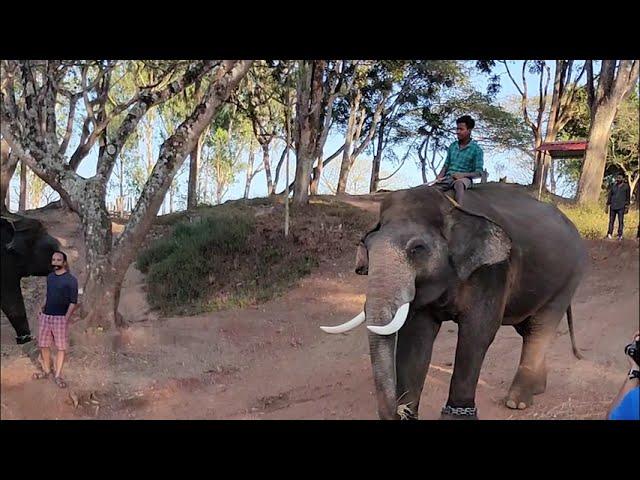 Coorg Ooty Kannur Tour | VLOG Teaser | Tushar Yelne Vlogs #vlog #coorg # ooty