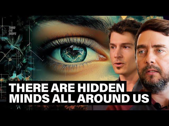 Hidden Consciousness & The Living Patterns That Shape Reality | Michael Levin & Matt Segall