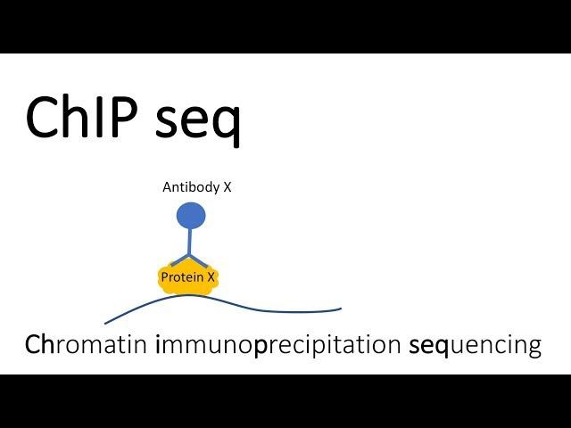 ChIP seq - Chromatin Immunoprecipitation sequencing