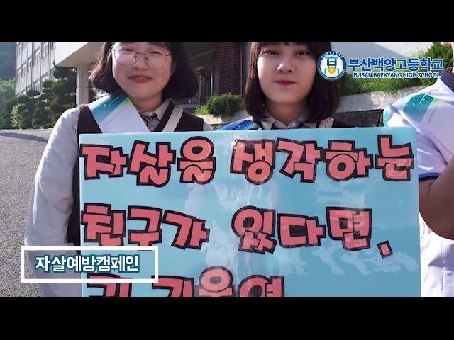 백양고등학교 소개영상