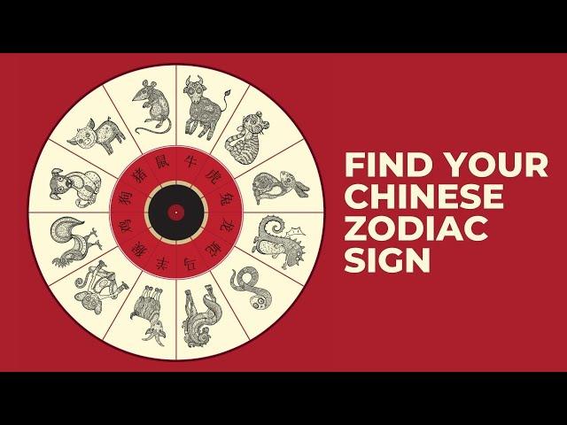 The 12 Chinese Zodiac Signs | Which Chinese Animal Sign Are You & What It Reveals About You