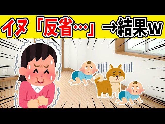 【ほのぼの2ch】やらかして凹むイッヌを0歳児の双子が見た結果ｗ【ゆっくり】