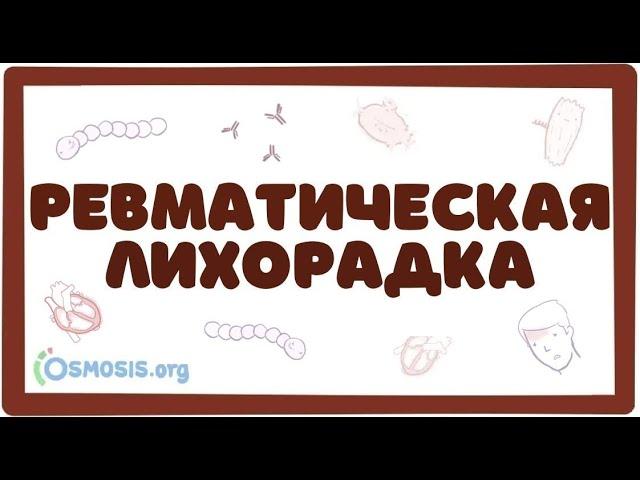 Острая ревматическая лихорадка - причины, симптомы (лекция)